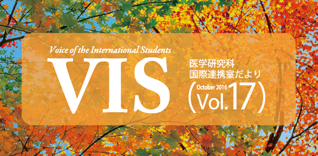 VIS17 表紙